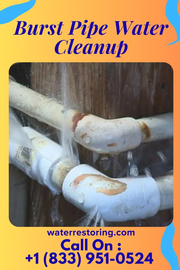 Burst Pipe Water Cleanup in Herkimer, KS